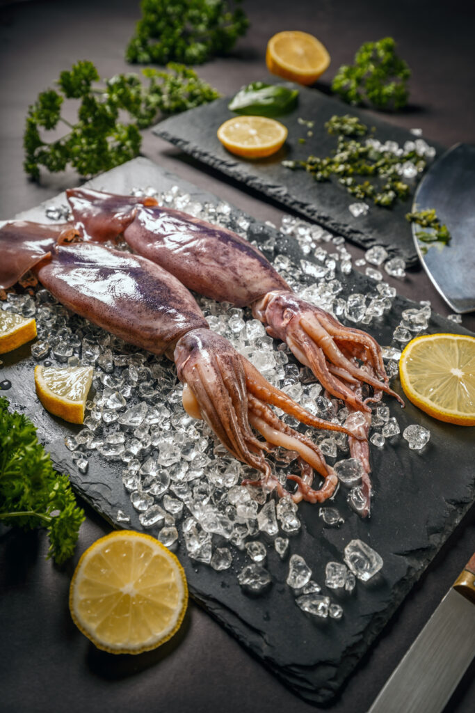 uncooked fresh cuttlefish uncooked fresh cuttlefish